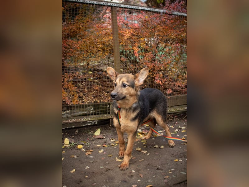 Jutta ist bereit für das größte Abenteuer ihres Lebens