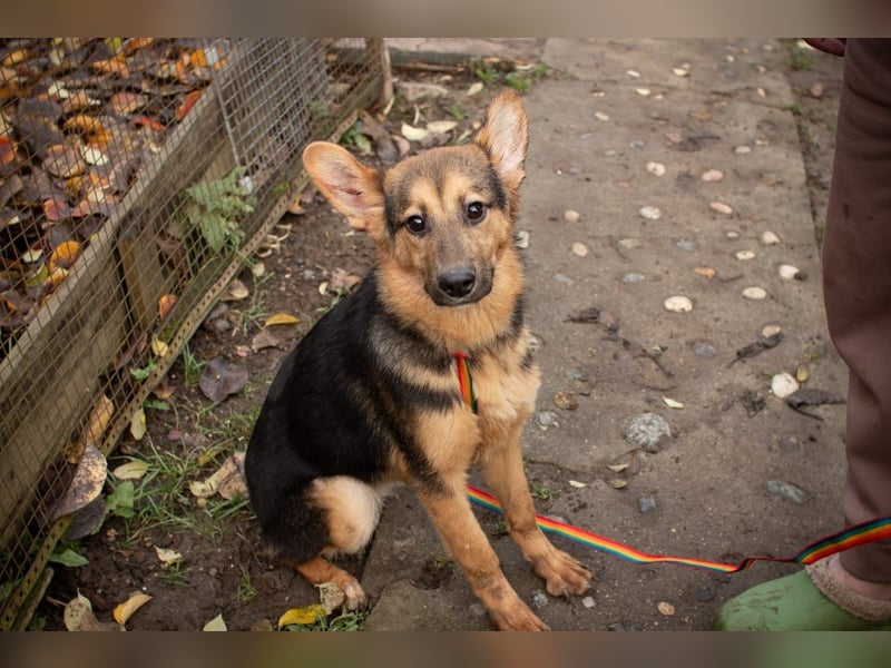 Jutta ist bereit für das größte Abenteuer ihres Lebens