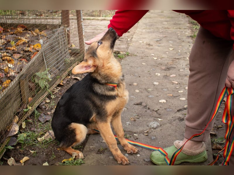 Jutta ist bereit für das größte Abenteuer ihres Lebens