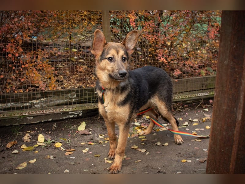 Jutta ist bereit für das größte Abenteuer ihres Lebens