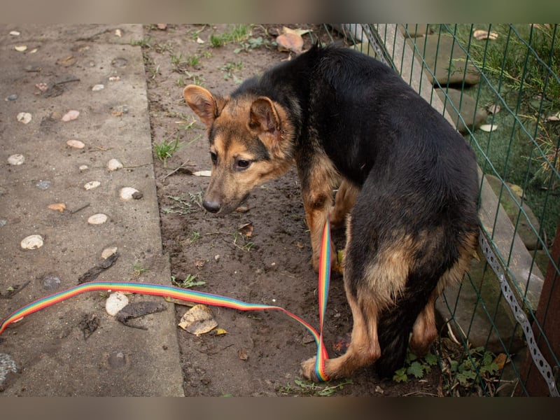 Jutta ist bereit für das größte Abenteuer ihres Lebens