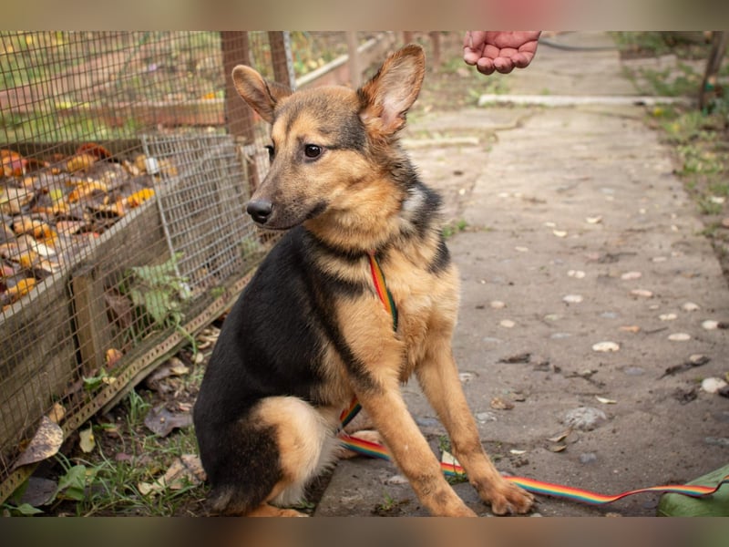 Jutta ist bereit für das größte Abenteuer ihres Lebens