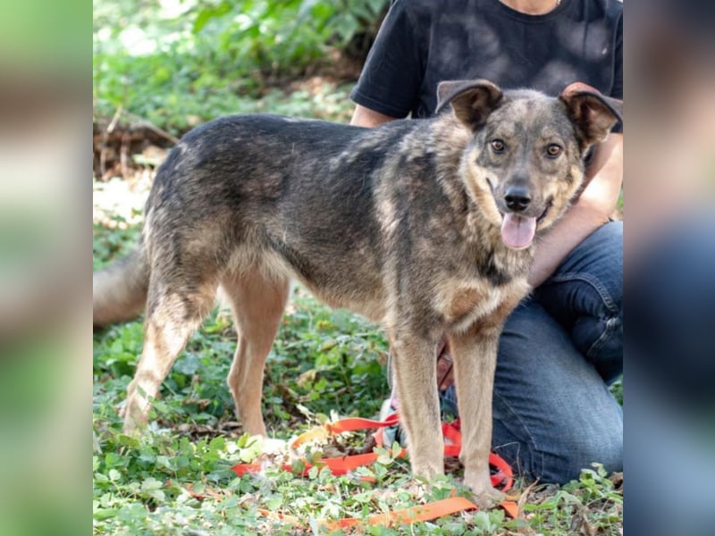 JAMALA Verbreitet Freude (Ukraine)