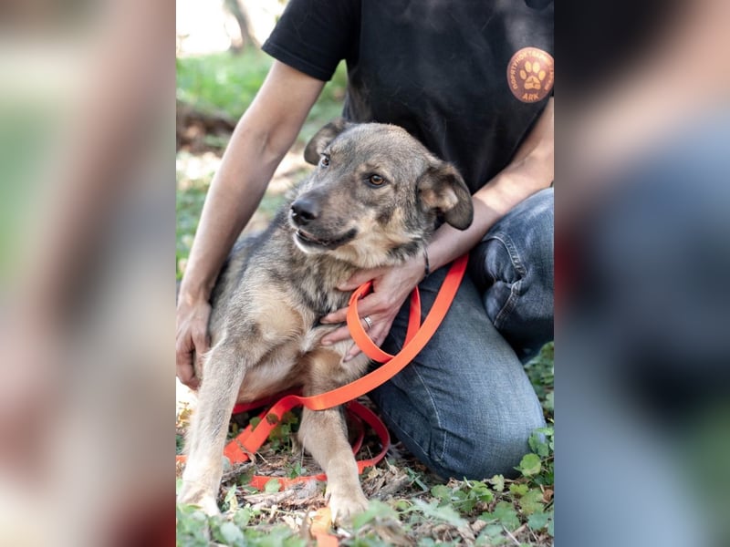 JAMALA Verbreitet Freude (Ukraine)