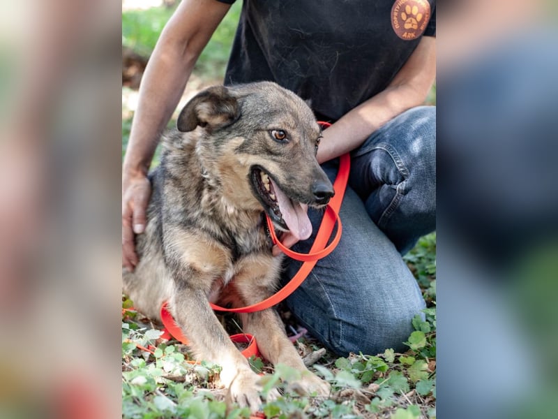JAMALA Verbreitet Freude (Ukraine)