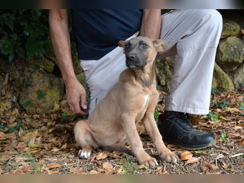 Betula - Ein bisschen Hundekinderelternwahnsinn?