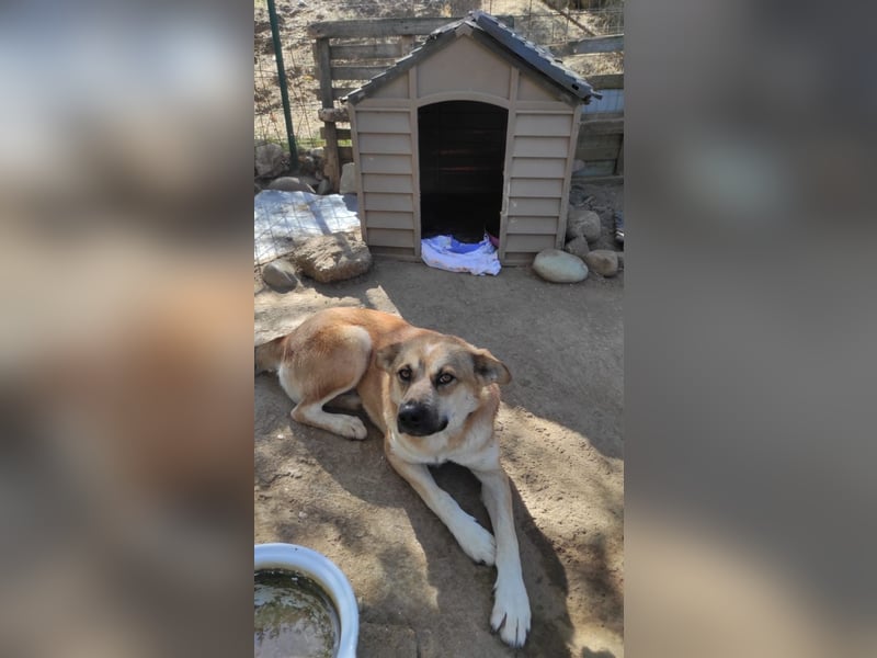 Petty - schön, charmant und trotzdem übersehen