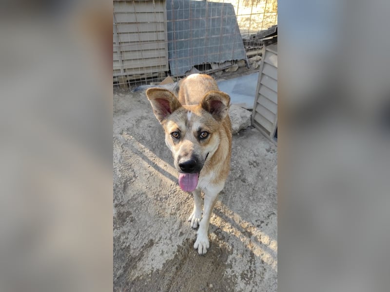 Petty - schön, charmant und trotzdem übersehen