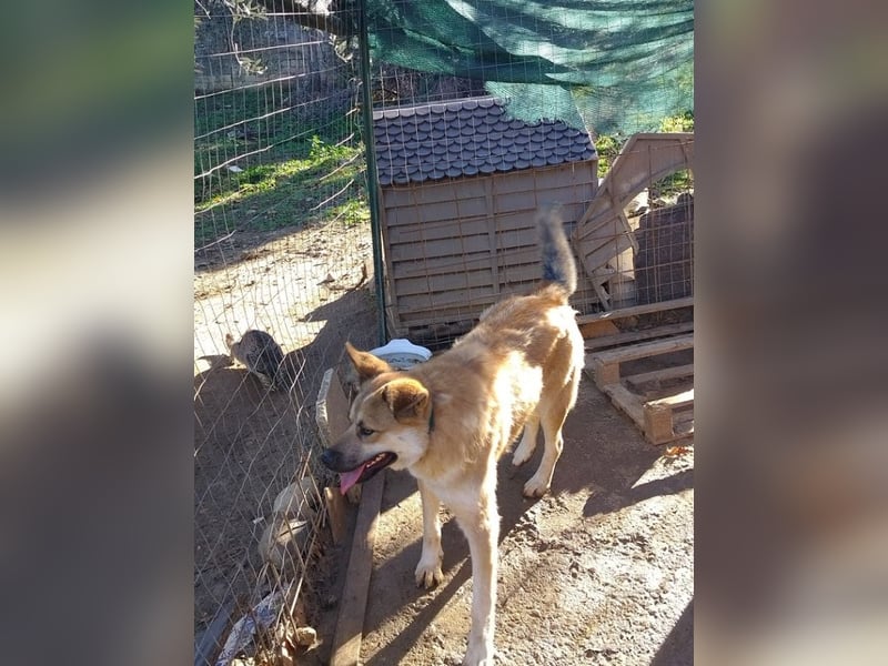 Petty - schön, charmant und trotzdem übersehen