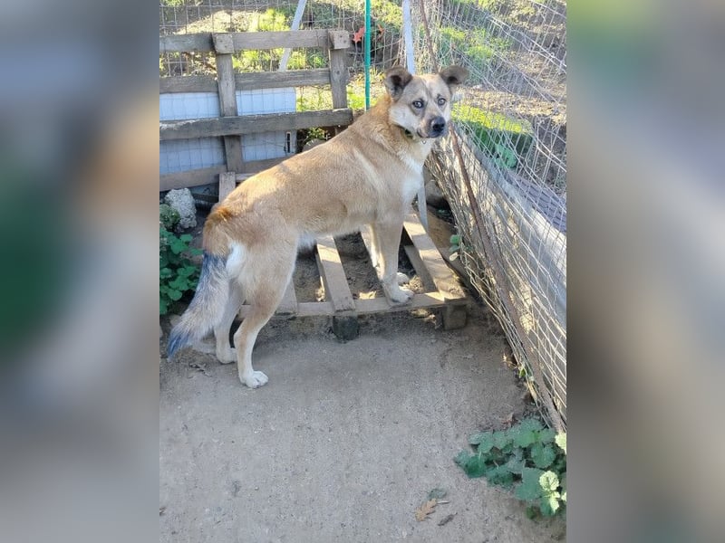 Petty - schön, charmant und trotzdem übersehen