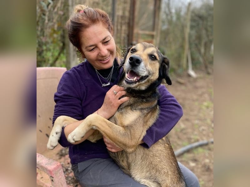 Rocky - Kein typischer Tierschutz-Hund