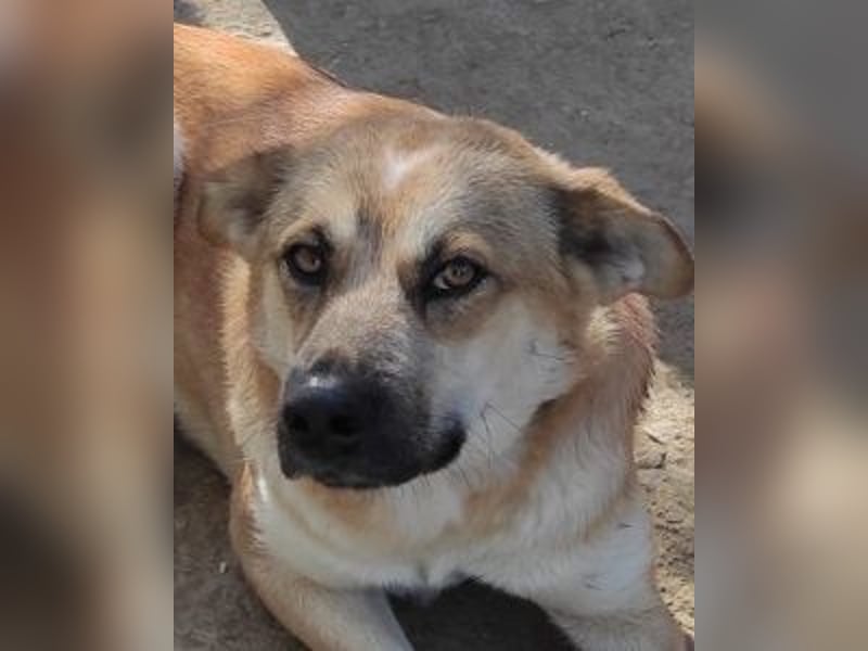 Petty - Da fehlt doch ein "R"!