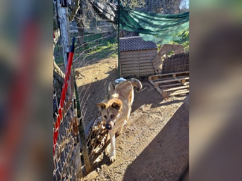 Petty - Da fehlt doch ein "R"!