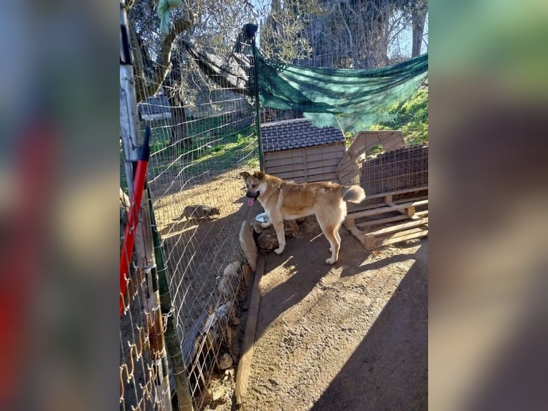 Petty - schön, charmant und trotzdem übersehen