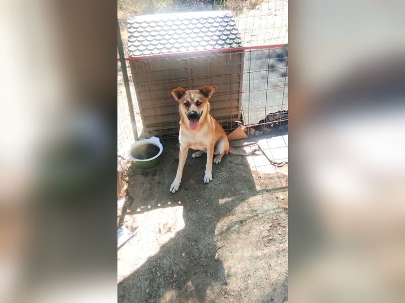 Petty - schön, charmant und trotzdem übersehen