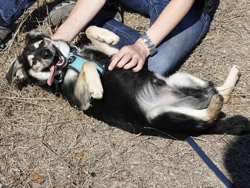 Süßer Vince sucht neuen Wirkungskreis
