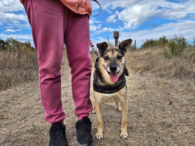 Lieber Terry sucht seine Menschen