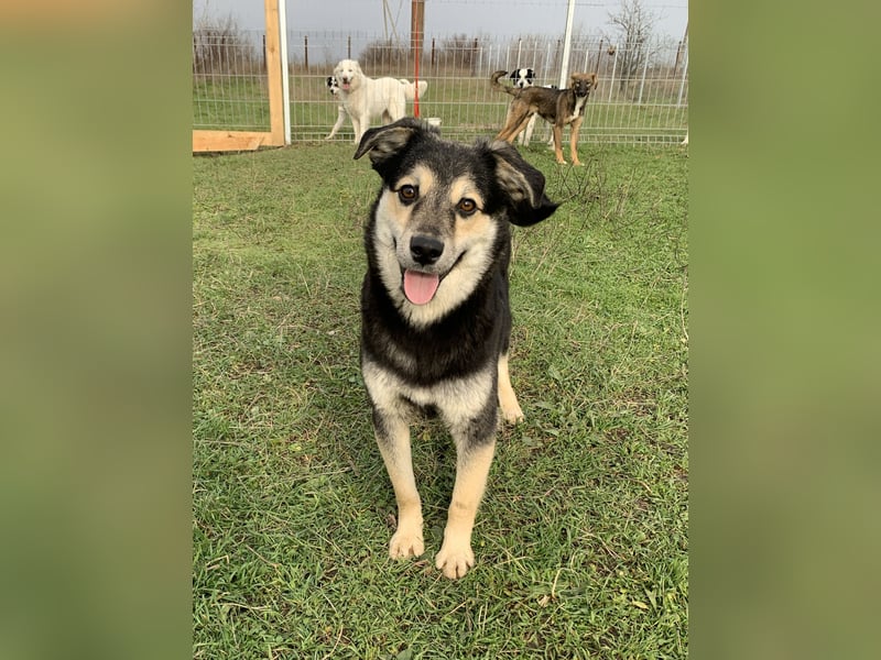 Süßer Vince sucht neuen Wirkungskreis