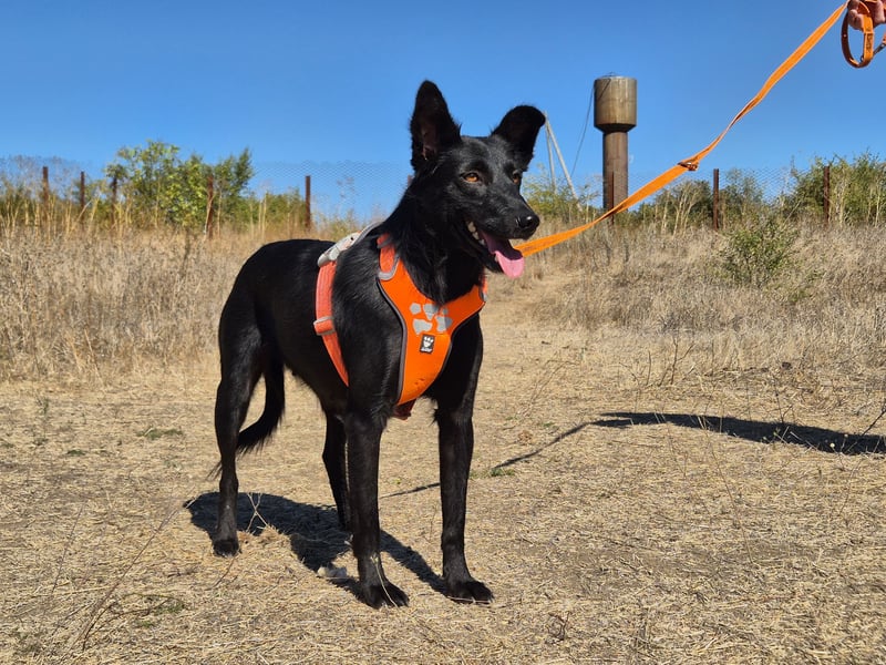 Yuna sucht ihre Familie