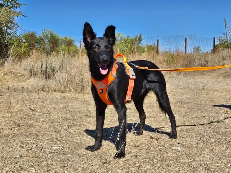 Yuna sucht ihre Familie