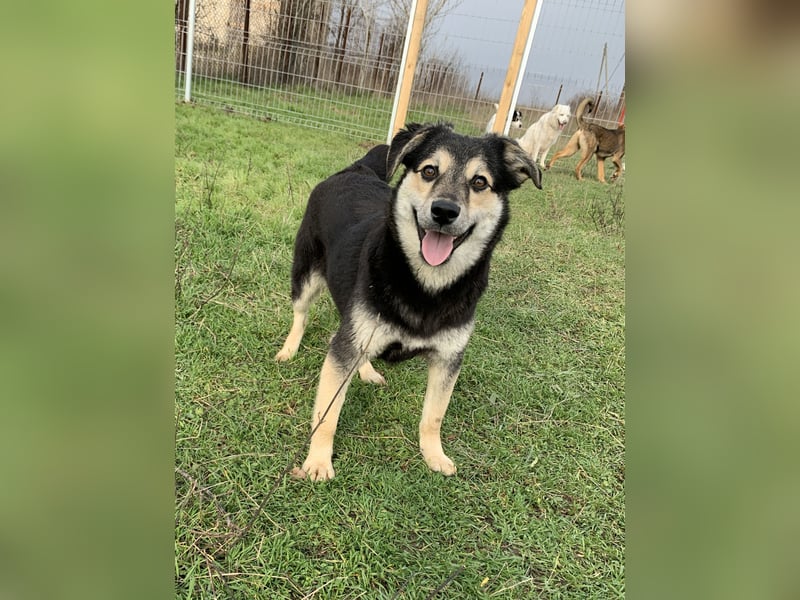 Süßer Vince sucht neuen Wirkungskreis