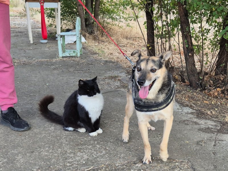 Lieber Terry sucht seine Menschen