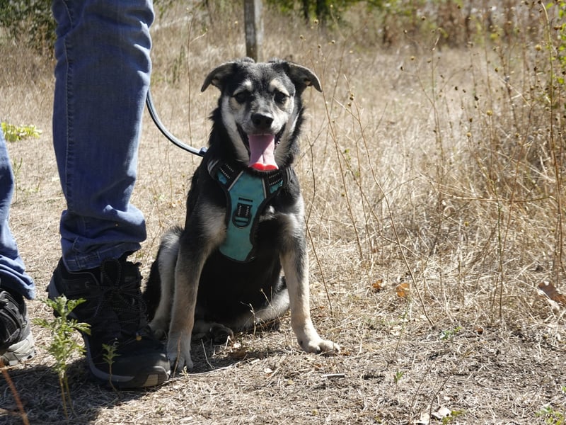 Süßer Vince sucht neuen Wirkungskreis