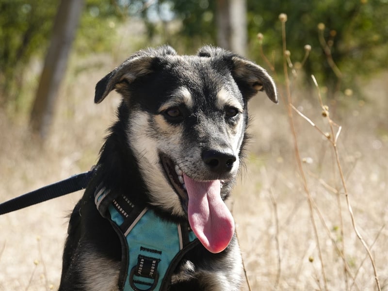 Kleiner Vince sucht neuen Wirkungskreis
