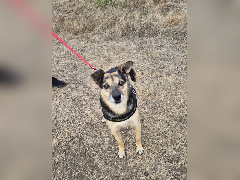 Lieber Terry sucht seine Menschen