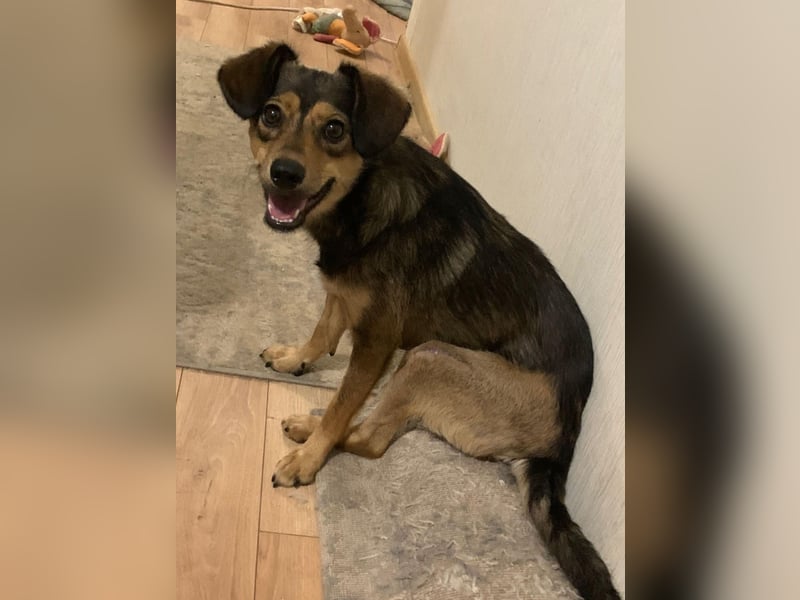 Charly sucht Menschen mit Herz