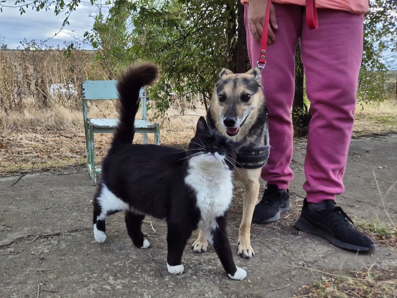 Lieber Terry sucht seine Menschen