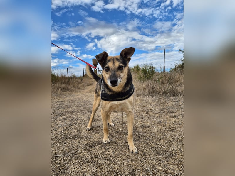 Lieber Terry sucht seine Menschen