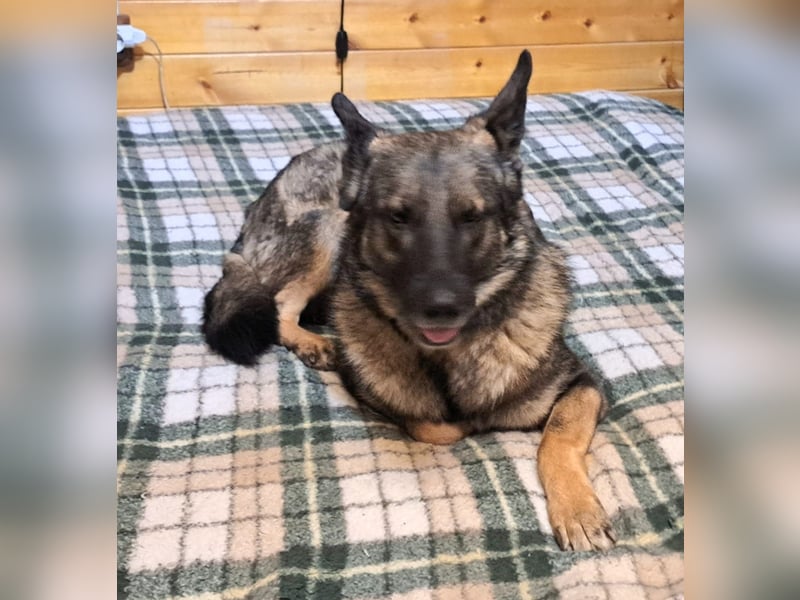 Emelia lebt bei einer Pflegefamilie in Rumänien