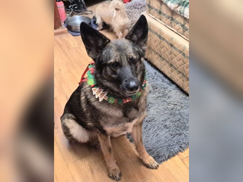 Emelia lebt bei einer Pflegefamilie in Rumänien