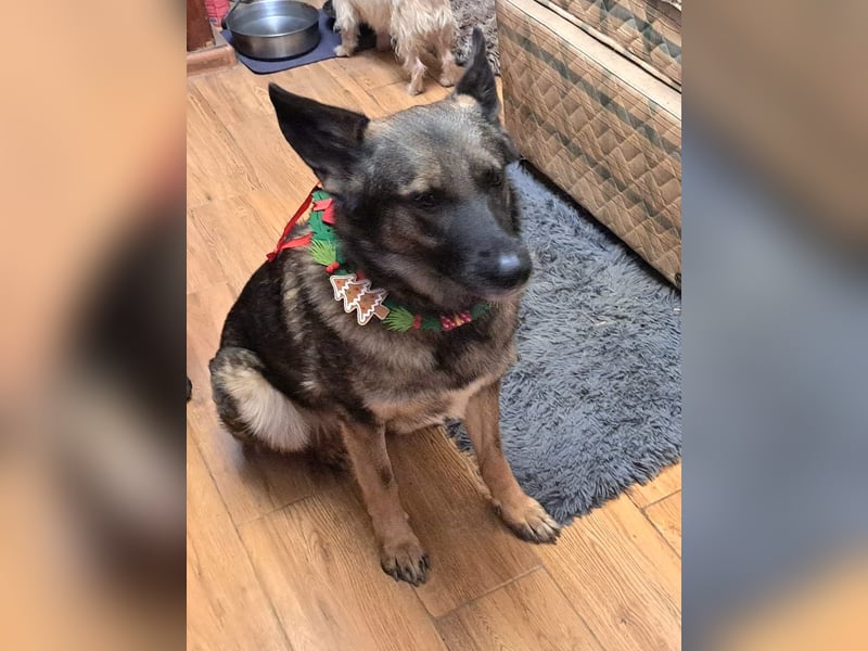 Emelia lebt bei einer Pflegefamilie in Rumänien