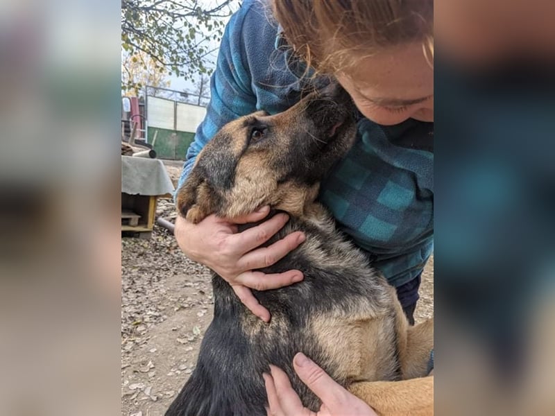 LUPITZA  Schäfermädchen wartet auf ihr zuhause