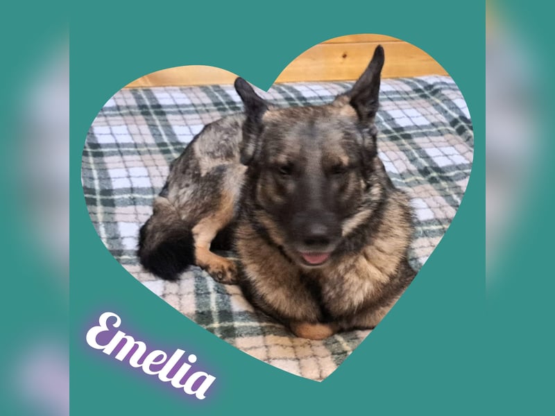 Emelia lebt bei einer Pflegefamilie in Rumänien