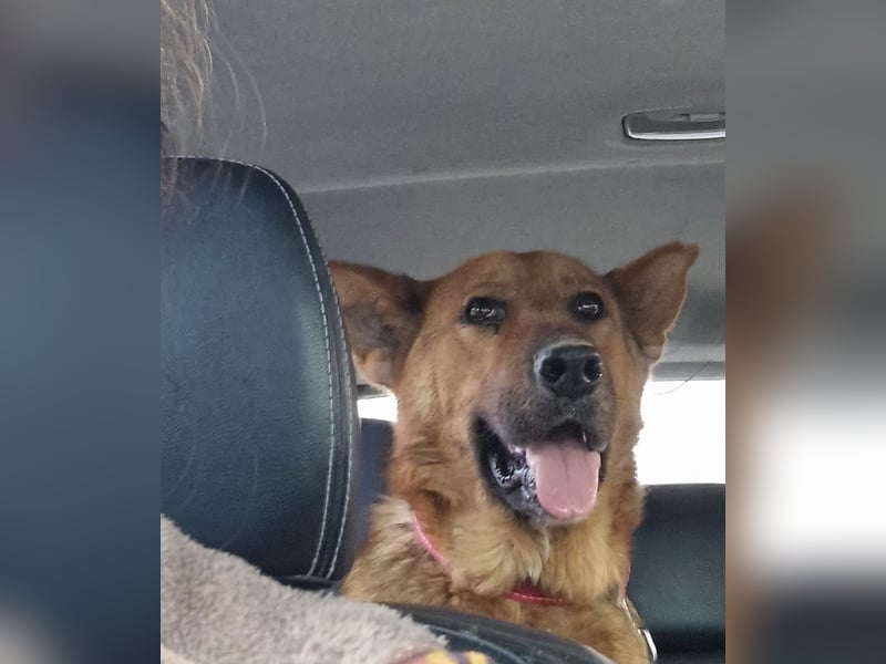  Luna sucht eine Pflege- oder Endstelle