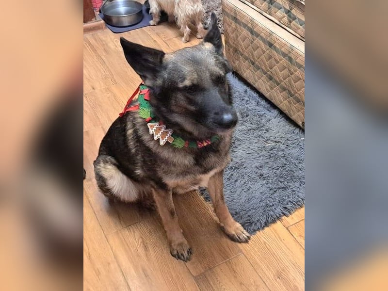 Emelia lebt bei einer Pflegefamilie in Rumänien