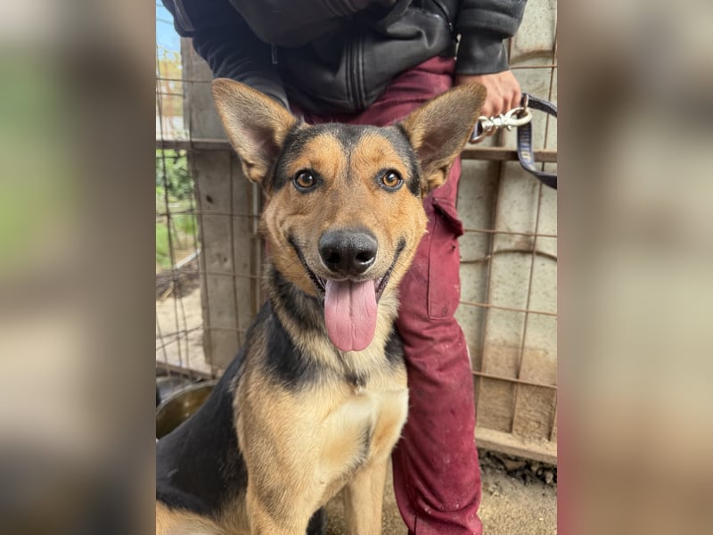 Jankó sucht das Abenteuer