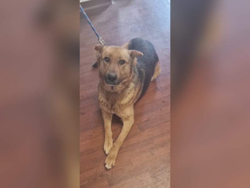  Luna sucht eine Pflege- oder Endstelle