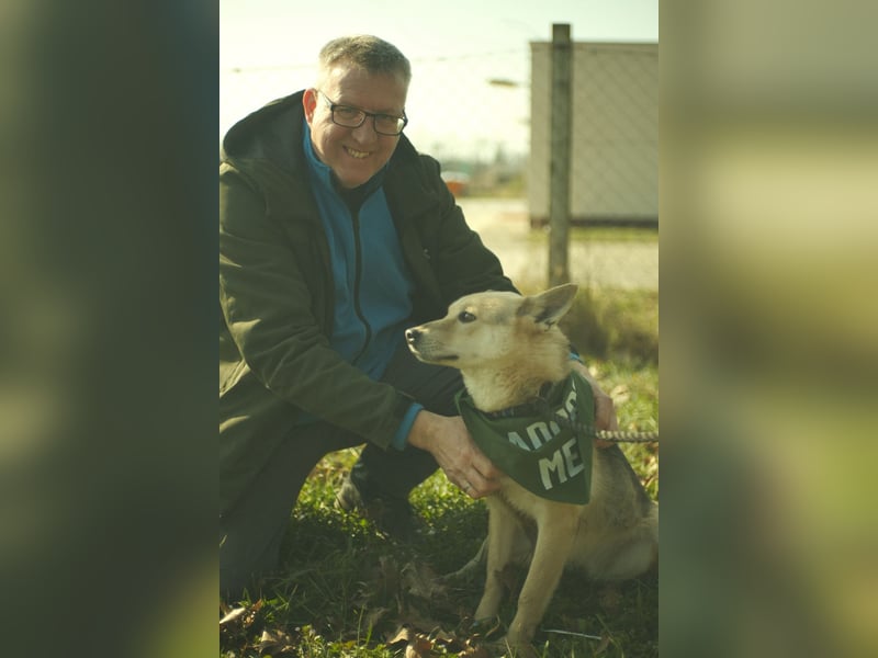 Gloria, zartes Seelchen sucht liebevolles und  Zuhause