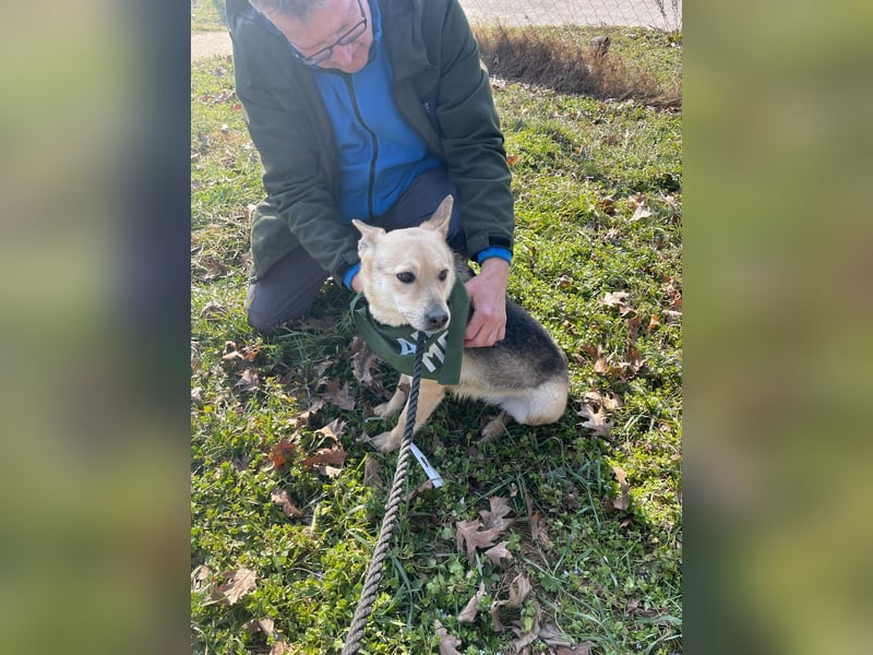 Gloria, zartes Seelchen sucht liebevolles und  Zuhause