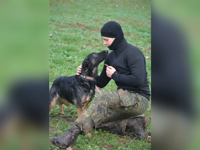 "Bonny"- Aktive Hündin, ca. 2022 geboren, sehr lieb, menschenbezogen und anhänglich