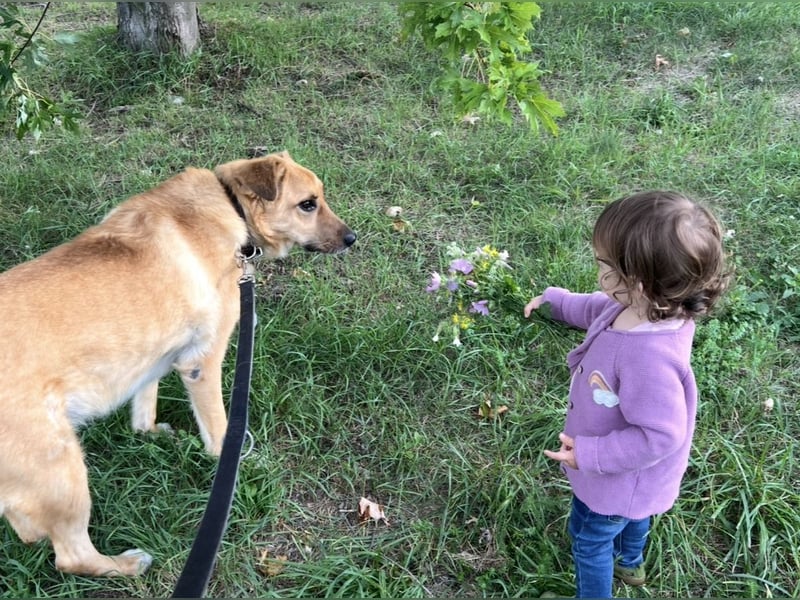 Elli sucht ihr Herzenszuhause