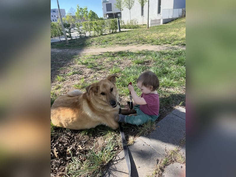 Elli sucht ihr Herzenszuhause