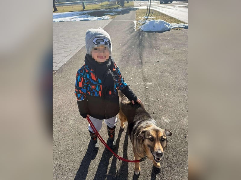 Matilda Schäferhund Mischling Hündin Senior sucht Altersruhesitz für immer