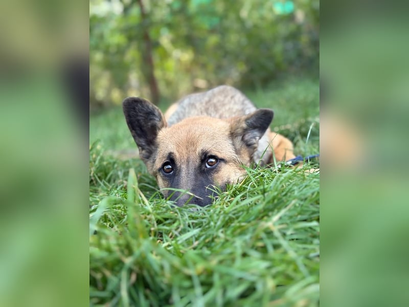 Manci KK – sucht aktive Familie