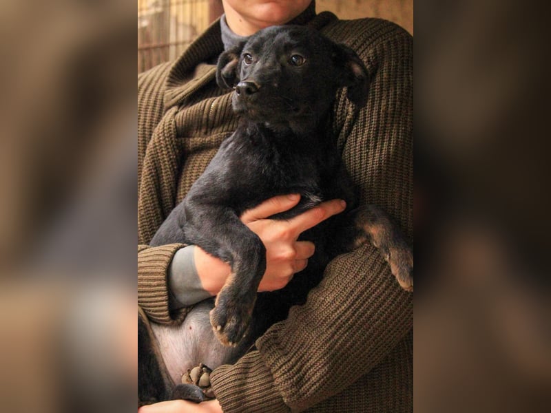 Bella LM – Lebensfrohe Schönheit sucht ihren Platz!