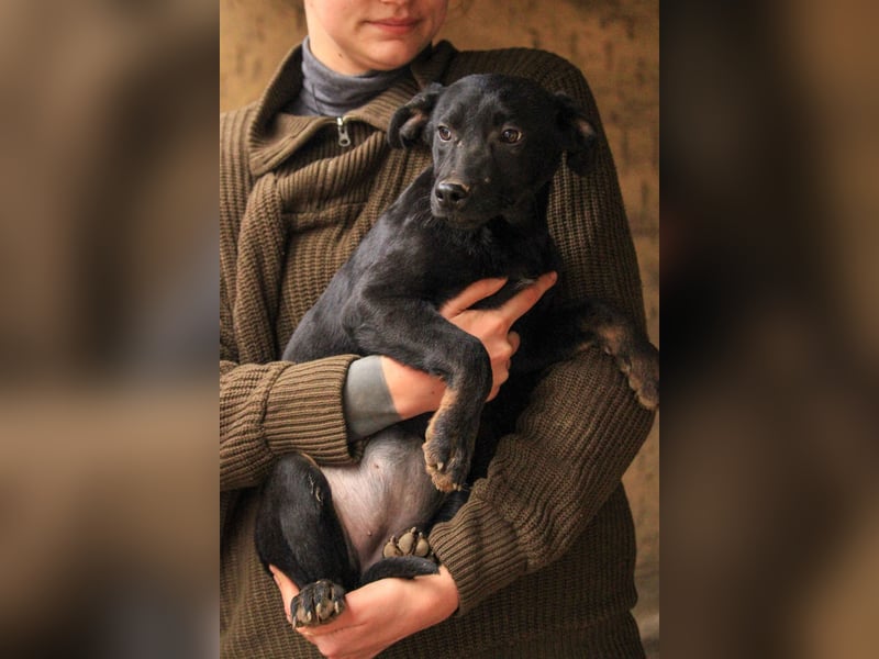 Bella LM – Lebensfrohe Schönheit sucht ihren Platz!